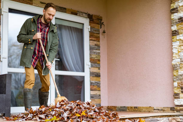 Yard Cleanup Services in Mount Vernon, TX